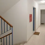 Apartment Bella